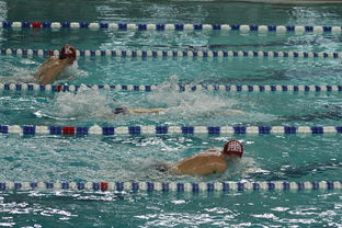 乐鱼体育登录入口-世界短池游泳锦标赛多项世界纪录诞生，第一届世界短池游泳锦标赛